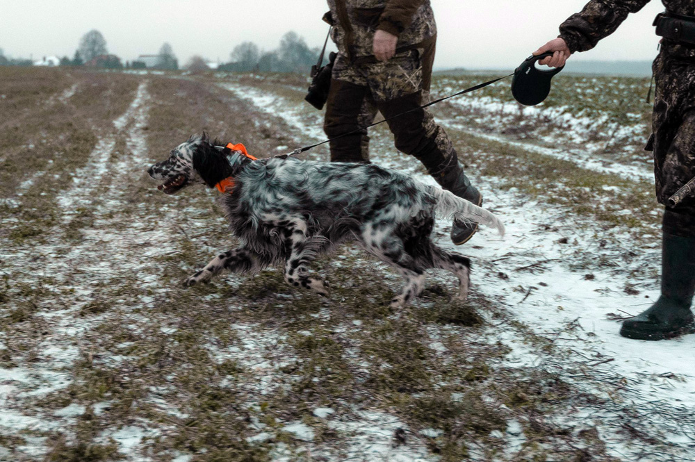 Période Ouverture / fermeture de la Chasse