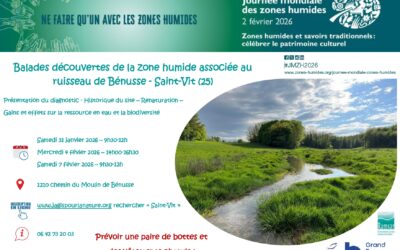 Journée mondiale des zones humides : balades nature à Saint-Vit