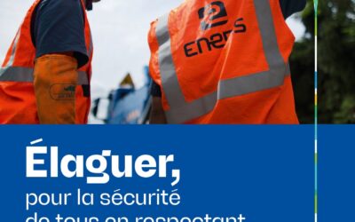 Travaux d’élagage à proximité des lignes électriques