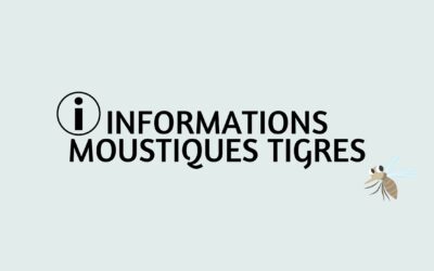 Surveillance du moustique tigre à Saint-Vit