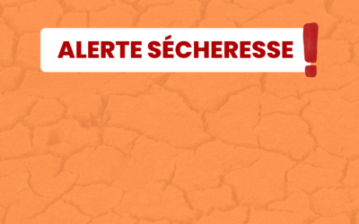 Alerte sécheresse